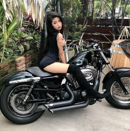 Oliolie Gallery Photo 10